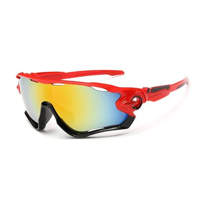 Polarized Outdoor Eyewear