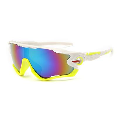 Polarized Outdoor Eyewear